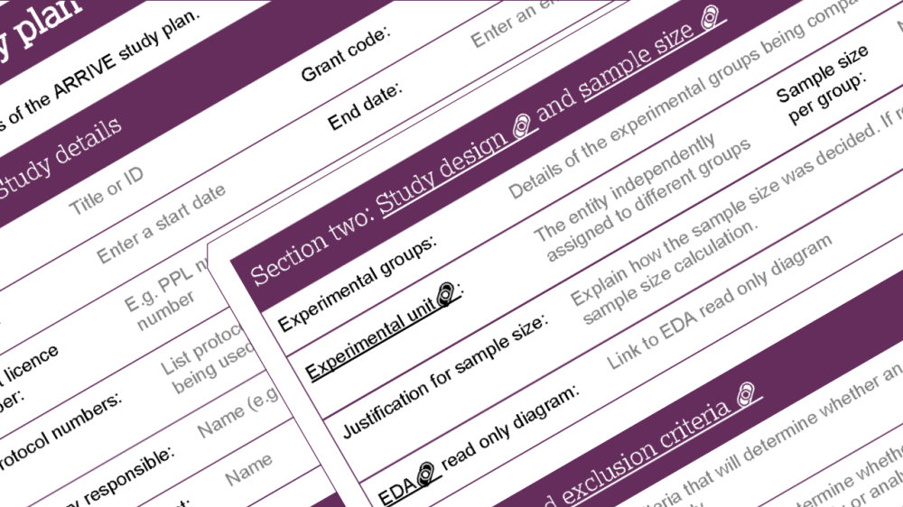 The ARRIVE study plan