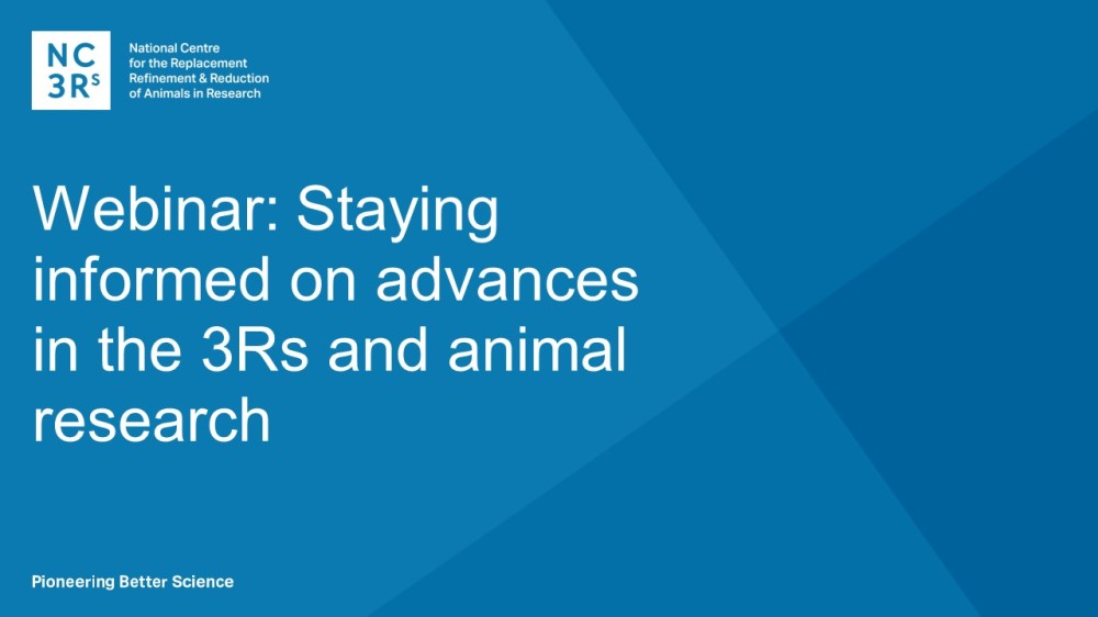 Webinar: Staying informed on advances in the 3Rs and animal research