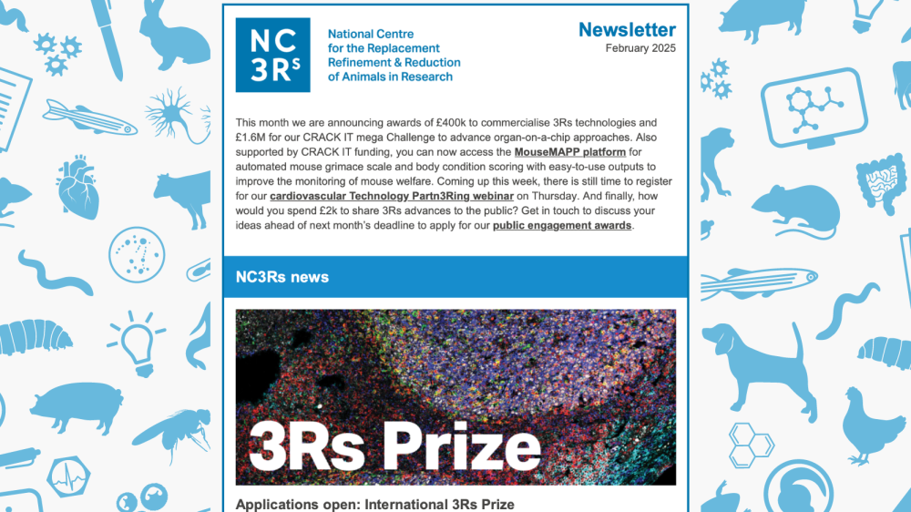An image of the February 2025 NC3Rs newsletter
