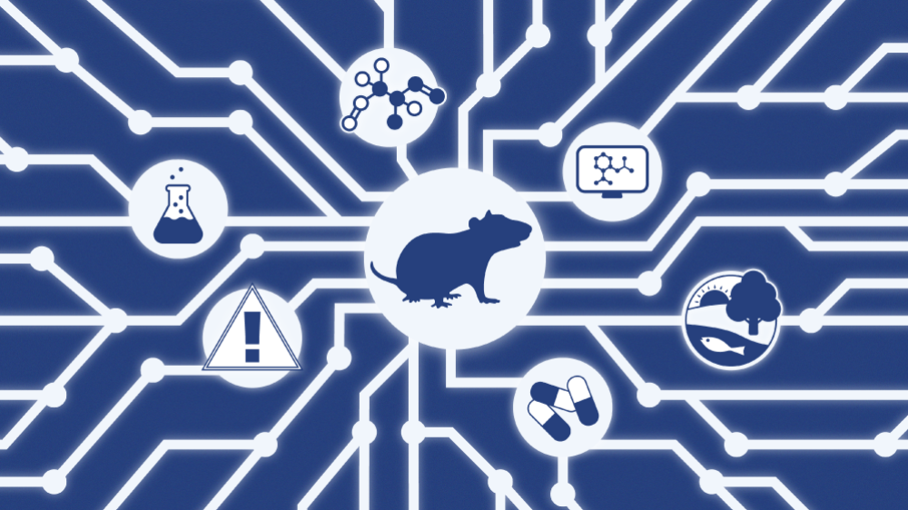 An illustrated graphic showing tox icons in a computer AI network