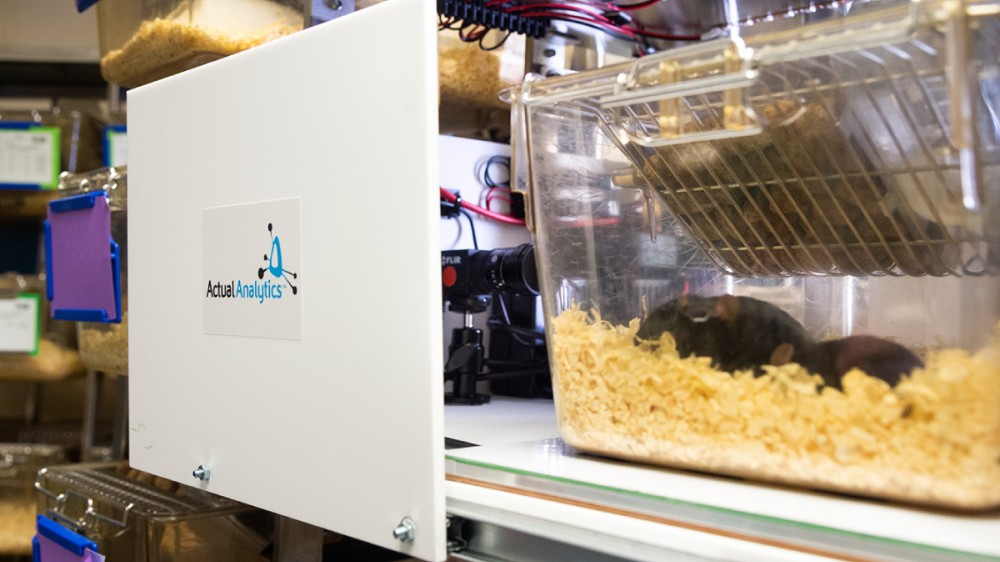 The Actual Analytics Home Cage Analyser system set up to monitor a cage of rats.