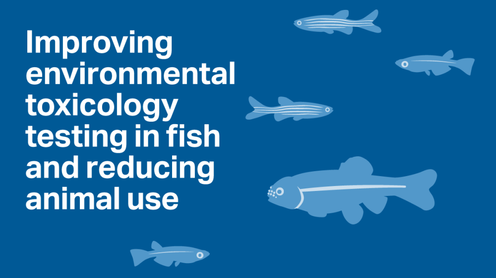 Improving environmental toxicology testing in fish and reducing animal use