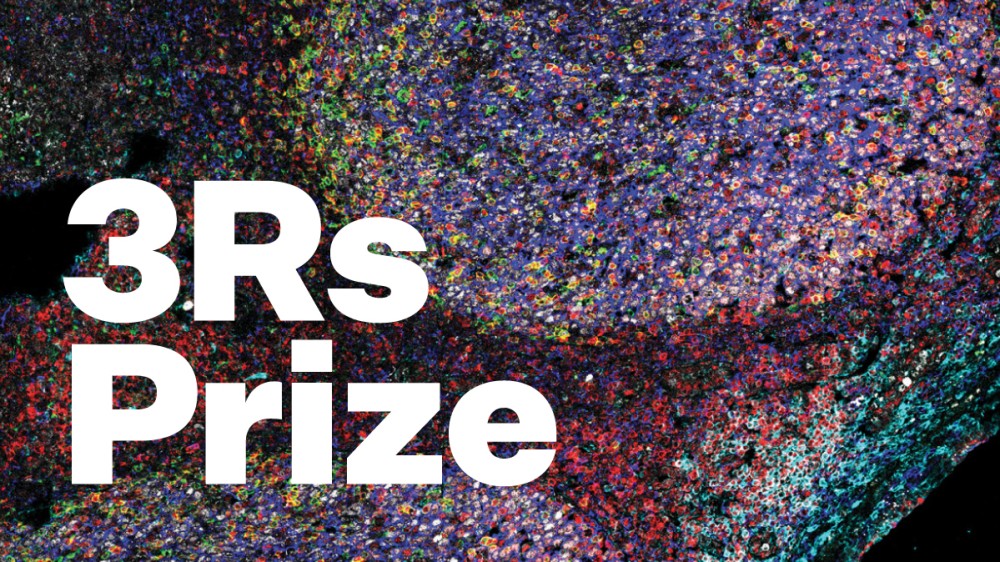 The words '3Rs Prize' with colourful microscopic cell image