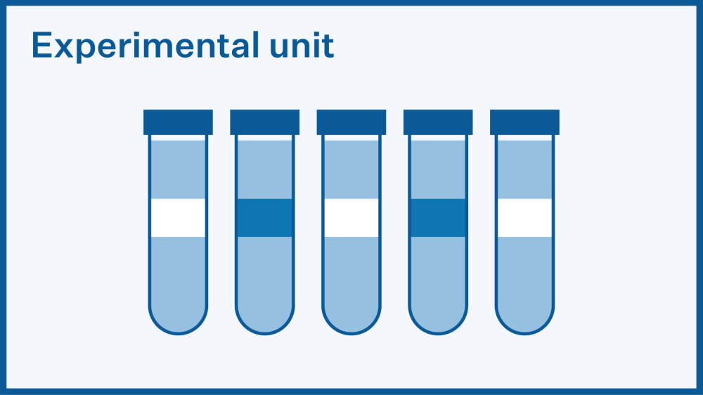 Diagram of six experimental units represented by test tubes with different shaded sections representing different experimental groups.