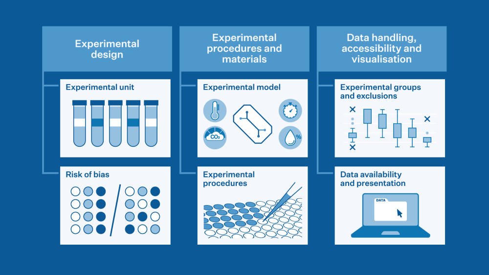 Graphic showing the six items of the DRIVER recommendations