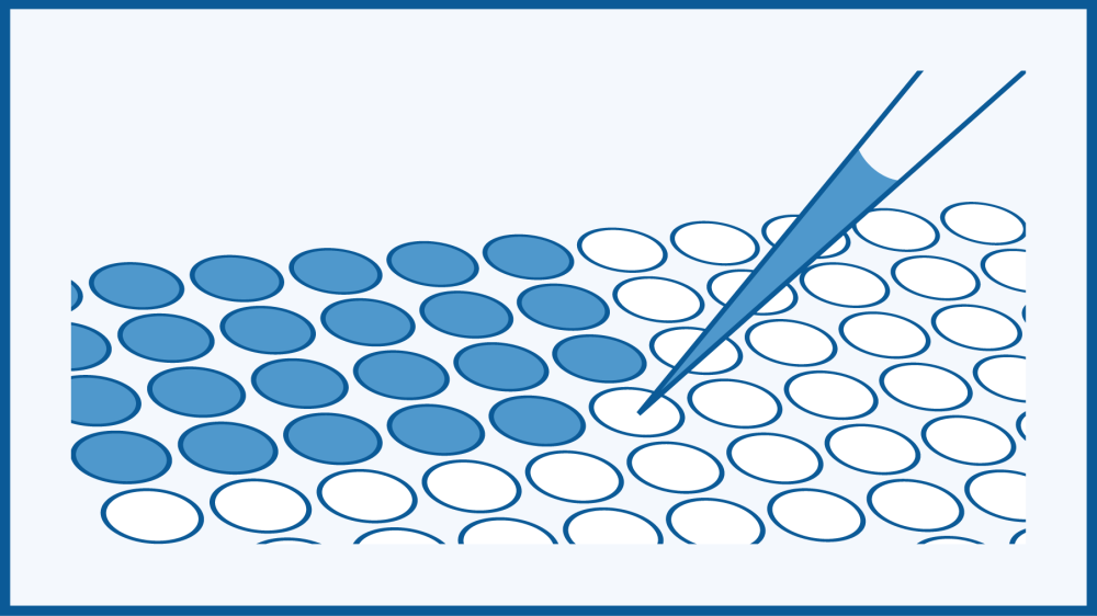Visual representation of experimental procedures using a multiwell plate with a pipette filling wells.