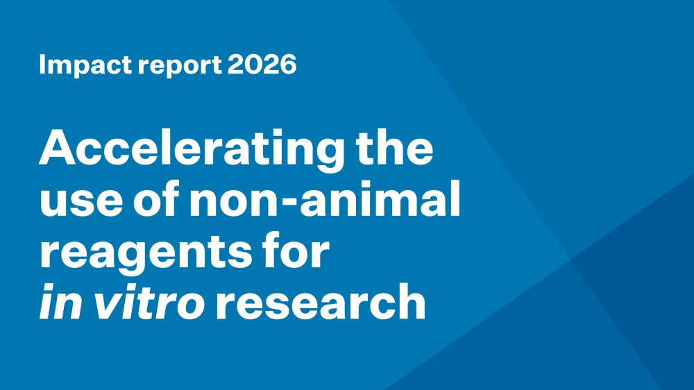 Impact report 2026: Accelerating the use of non-animal reagents for  in vitro research