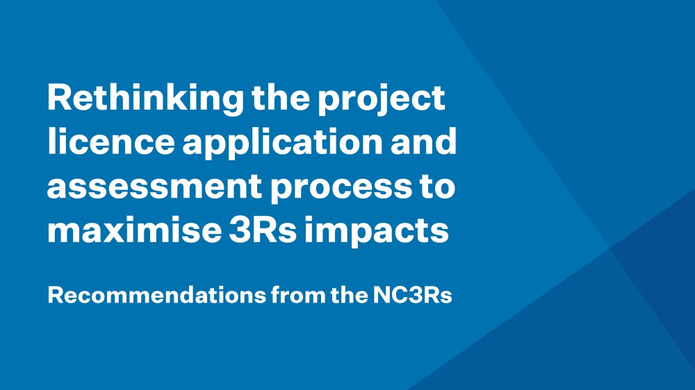 Cover of the report: Rethinking the project licence application and assessment process to maximise 3Rs impacts. Recommendations from the NC3Rs.