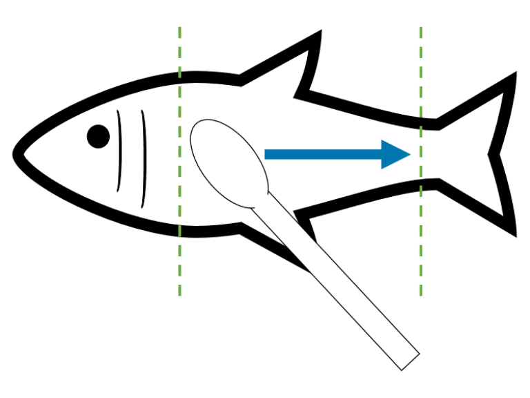 Method for skin swabbing of small bony fish indicating the direction of swabbing from head to tail