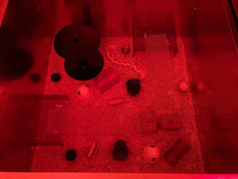 A rat playpen under red light.