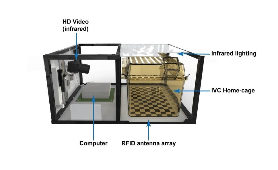 The Home Cage Analysis system