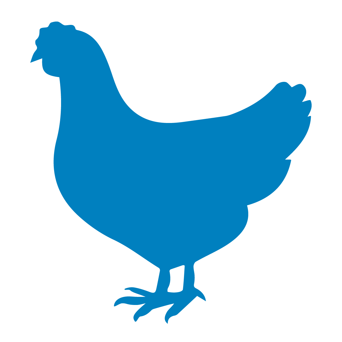 A graphic of a chicken ultramartine
