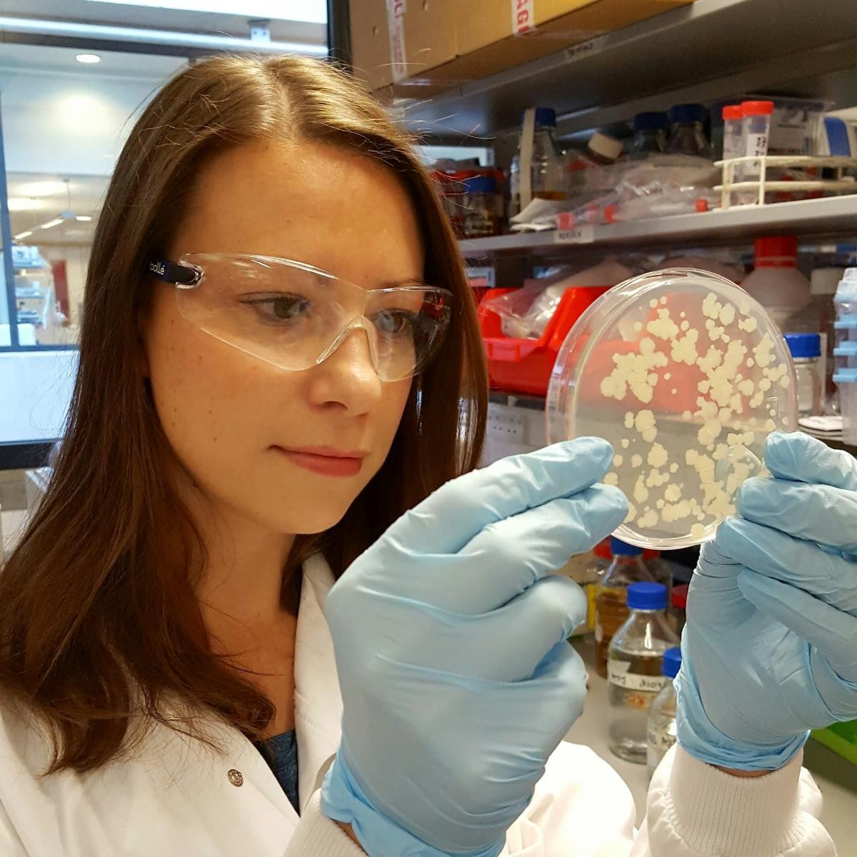 Dr Rachel Tanner studying a sample in a petri dish