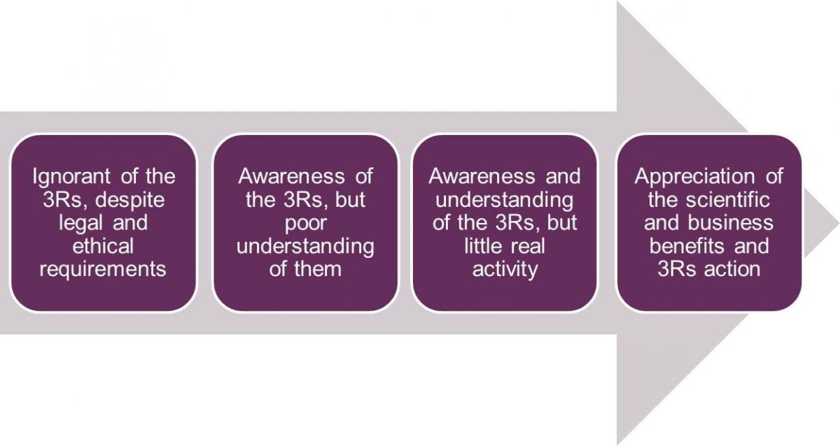 A typical journey of 3Rs awareness consisting of four different stages