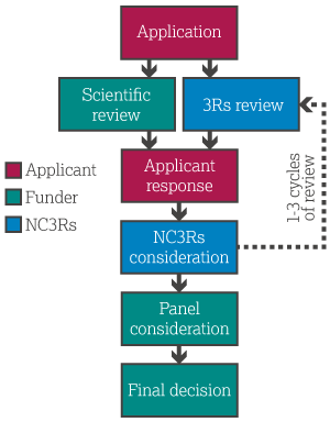 An infographic showing the application process with the application first being submitted and then reviewed. Once reviewed there is an application response, the consideration and final decision 