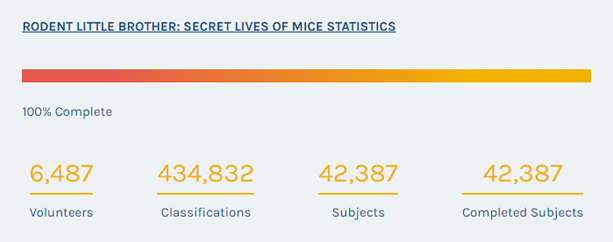 Secret lives of mice statistics 