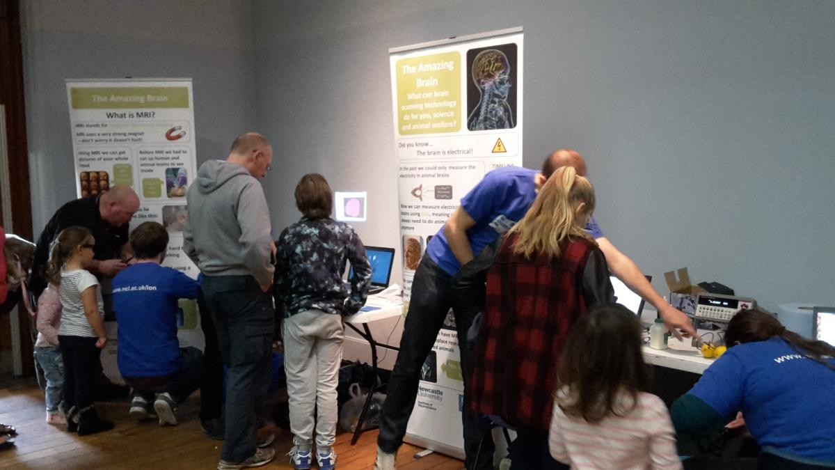 Children and adults enjoying the display at the learning about the 3Rs science fun for all ages