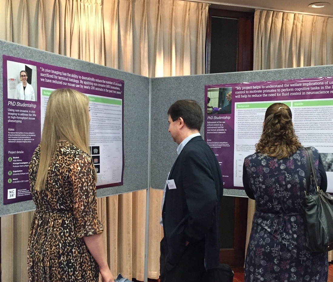 Three attendees viewing posters 