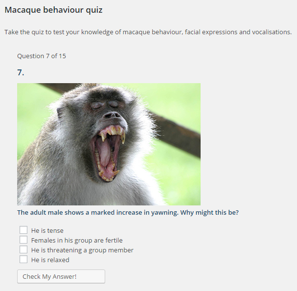 A macaque quiz screenshot. The screenshot shows a macaque yawning. The question is the adult male shows a marked increase in yawning, why might this be?