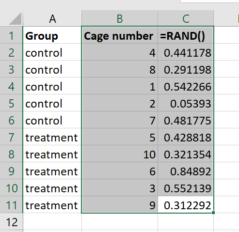 Step 5: using the SORT function to sort by the random number column, randomising the cages into control or treatment groups.