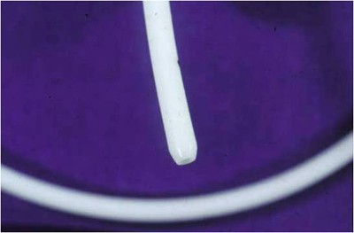 Detail of a rounded tip of an intravascular catheter: this design helps to minimise trauma to the vascular endothelium. 