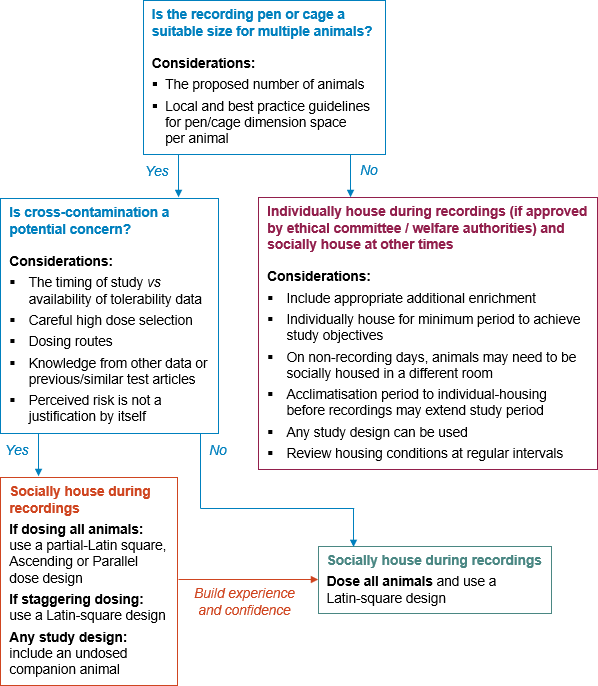 Flow diagram guiding the use of different study designs for studies in group housed animals.