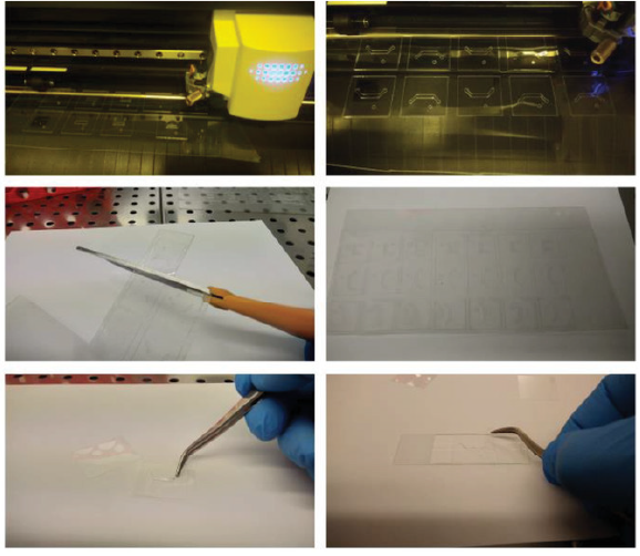 Six panels demonstrating the stages of fabricating an organ-on-a-chip