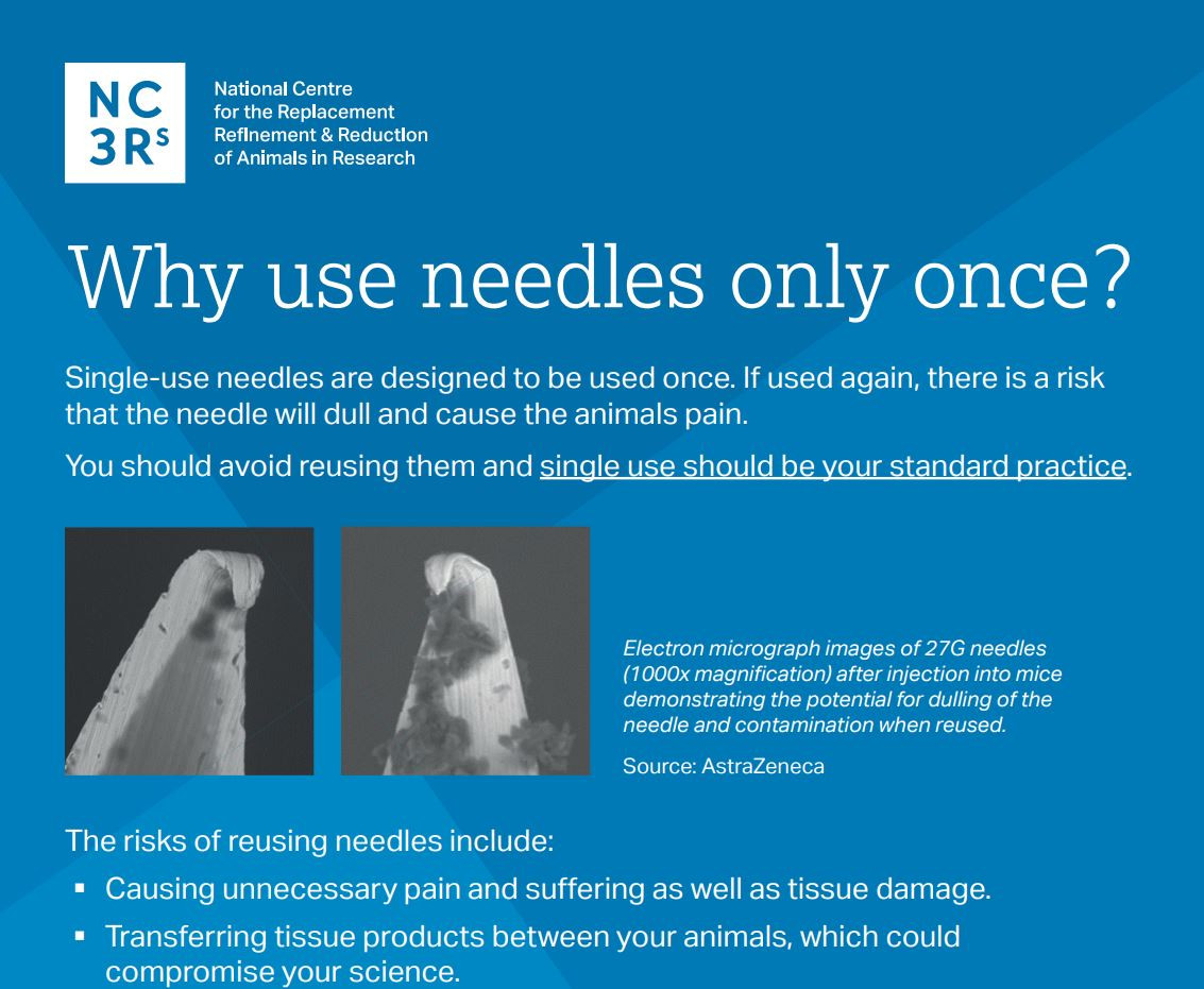 Screenshot of the needles poster - Why use needles only once?