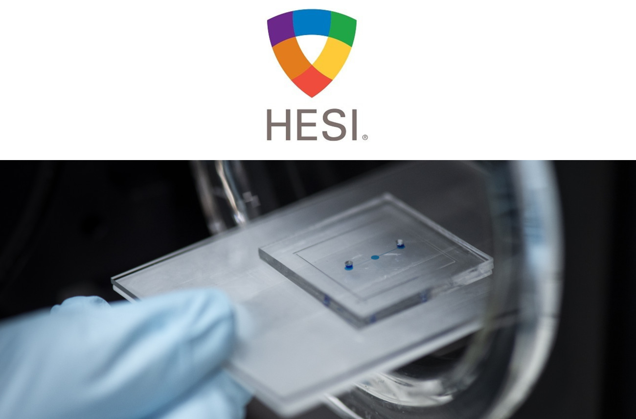 HESI logo with microphysiological system