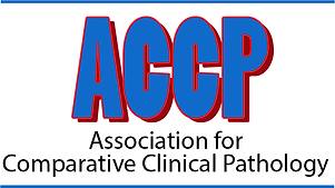 ACCP logo