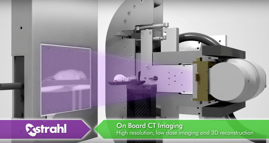 A mock up image of a mouse being scanned using an Xstrahl CT imaging device, the radiation beam is shown covering the whole animal with a representation of a CT image behind the mouse where the radiation beam hits the back of the imager.