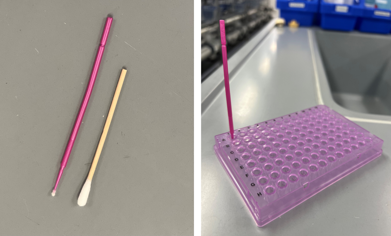 Swabs used for zebrafish skin swabbing.