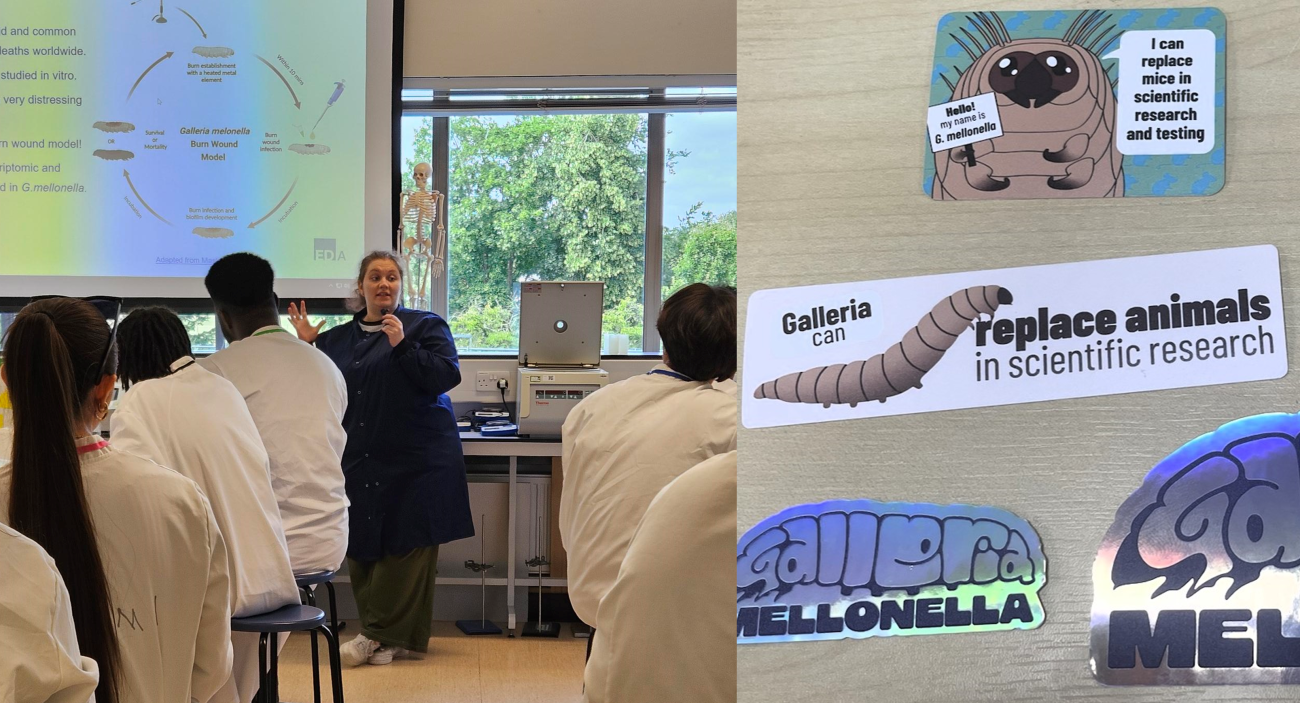 A scientist demonstrating the Galleria model at a STEM summer school