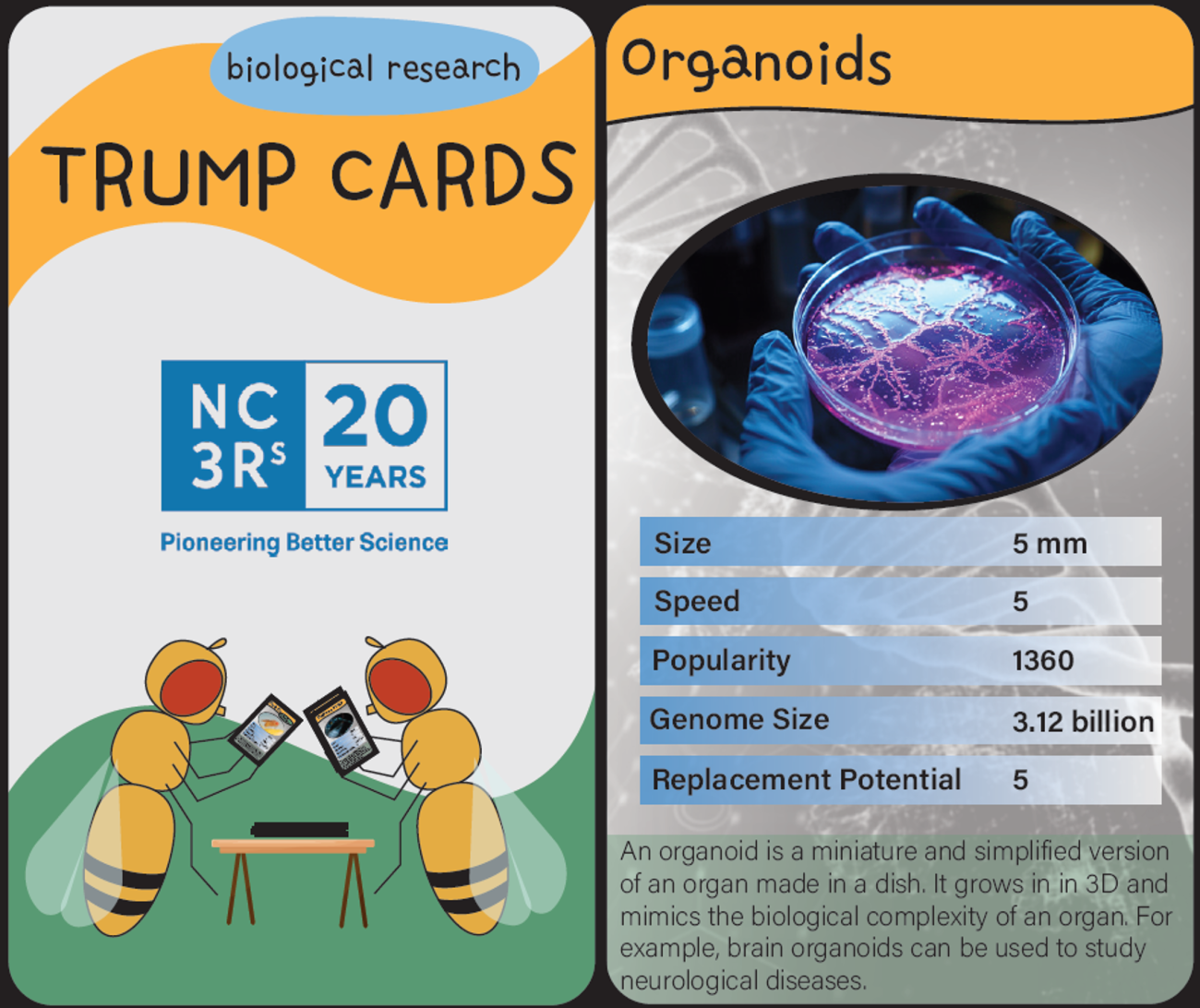 Biological research trump cards front cover and organoid card.