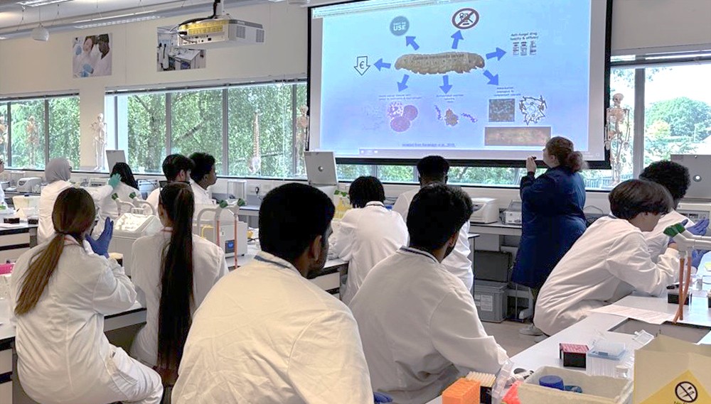 A scientist delivering a workshop to A-level students.