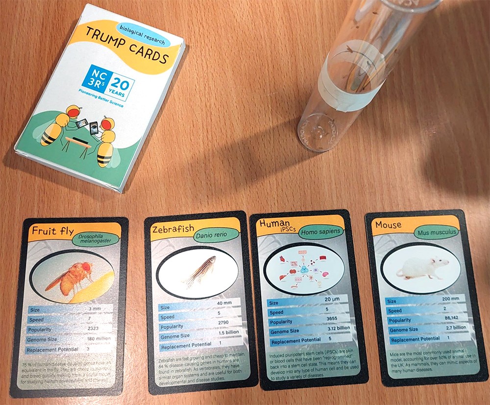 Biological models top trump cards and a vial of fruit flies.