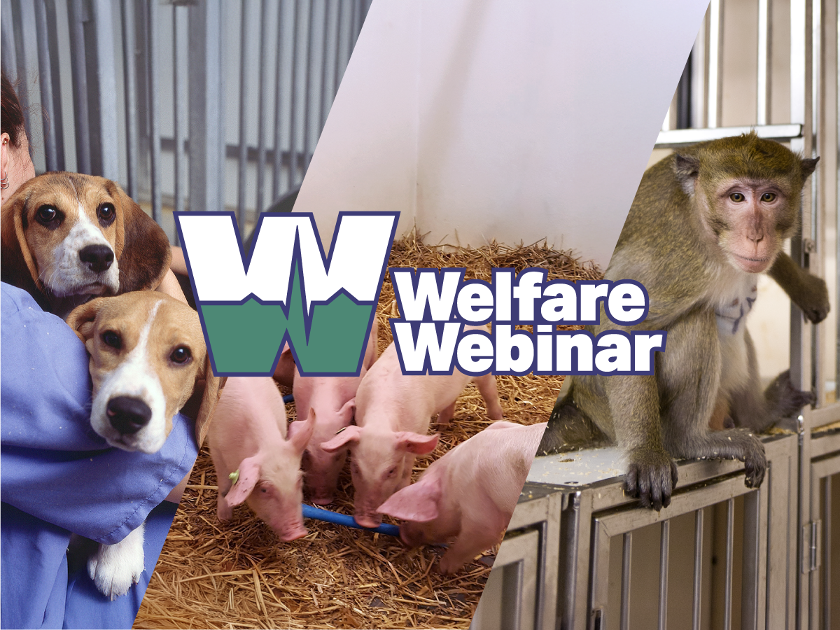 Welfare Webinar, event series logo with photographs of two beagles, some pigs, and a primate in lab housing.