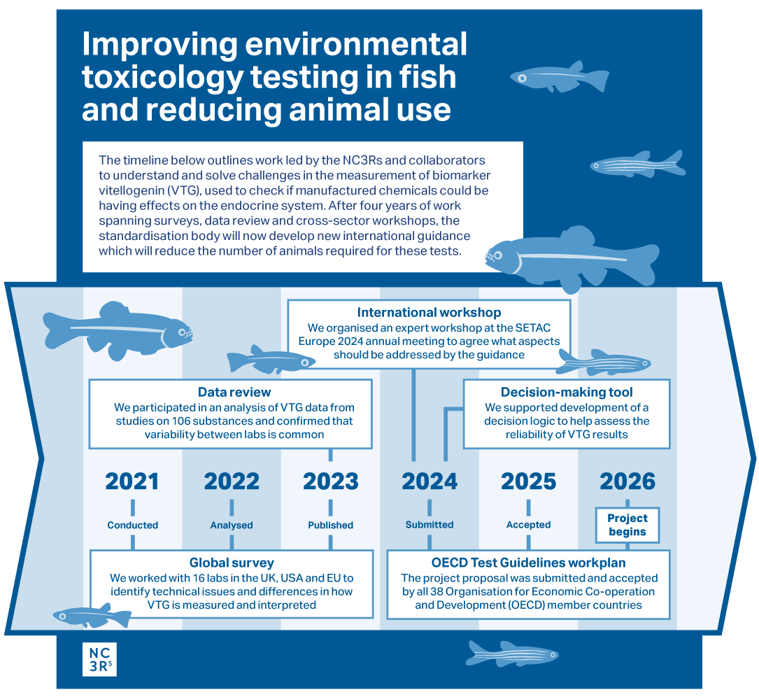 An info-graphic showing the VTG project timeline from 2021 to 2026.