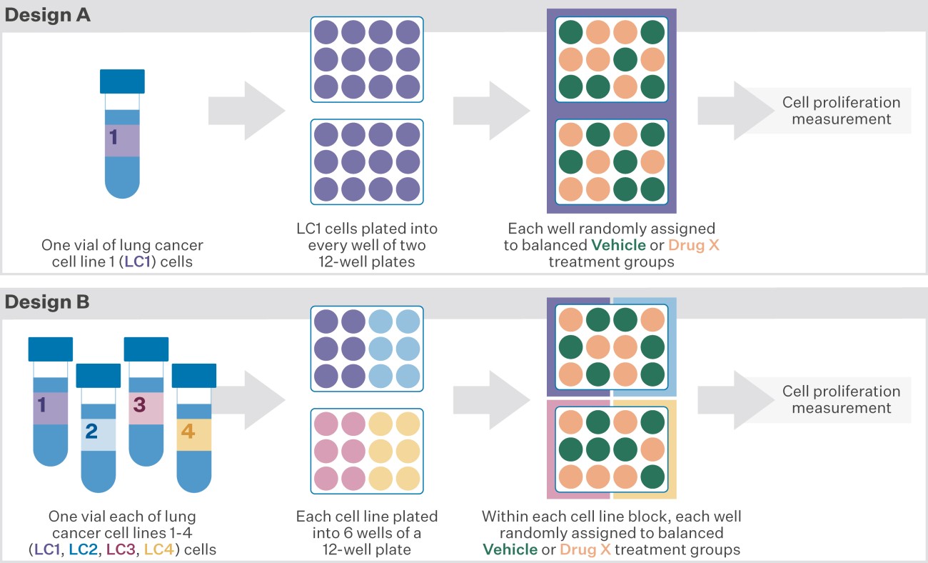 Comparison of two proliferation assay designs: Design A randomises Vehicle and Drug X treatments across wells containing one cell line, while Design B randomises treatments within blocks containing four different cell lines. Cell proliferation is then measured.