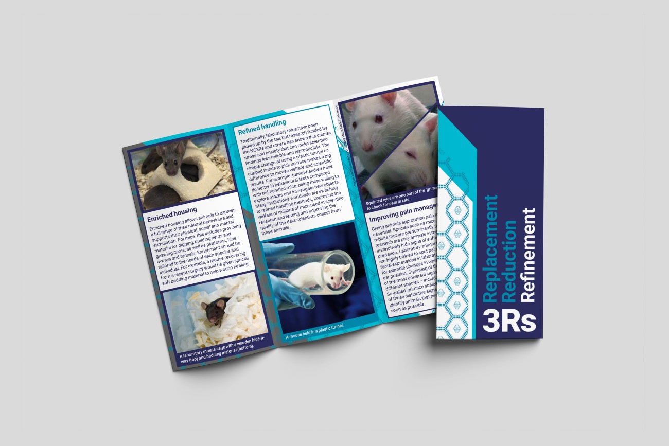 3Rs information leaflet created through the NC3Rs public engagement award scheme