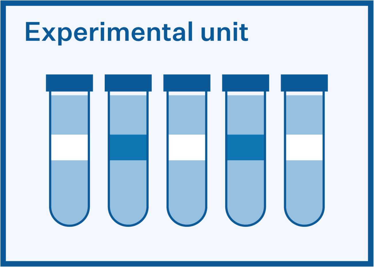 Diagram of six experimental units represented by test tubes with different shaded sections representing different experimental groups.