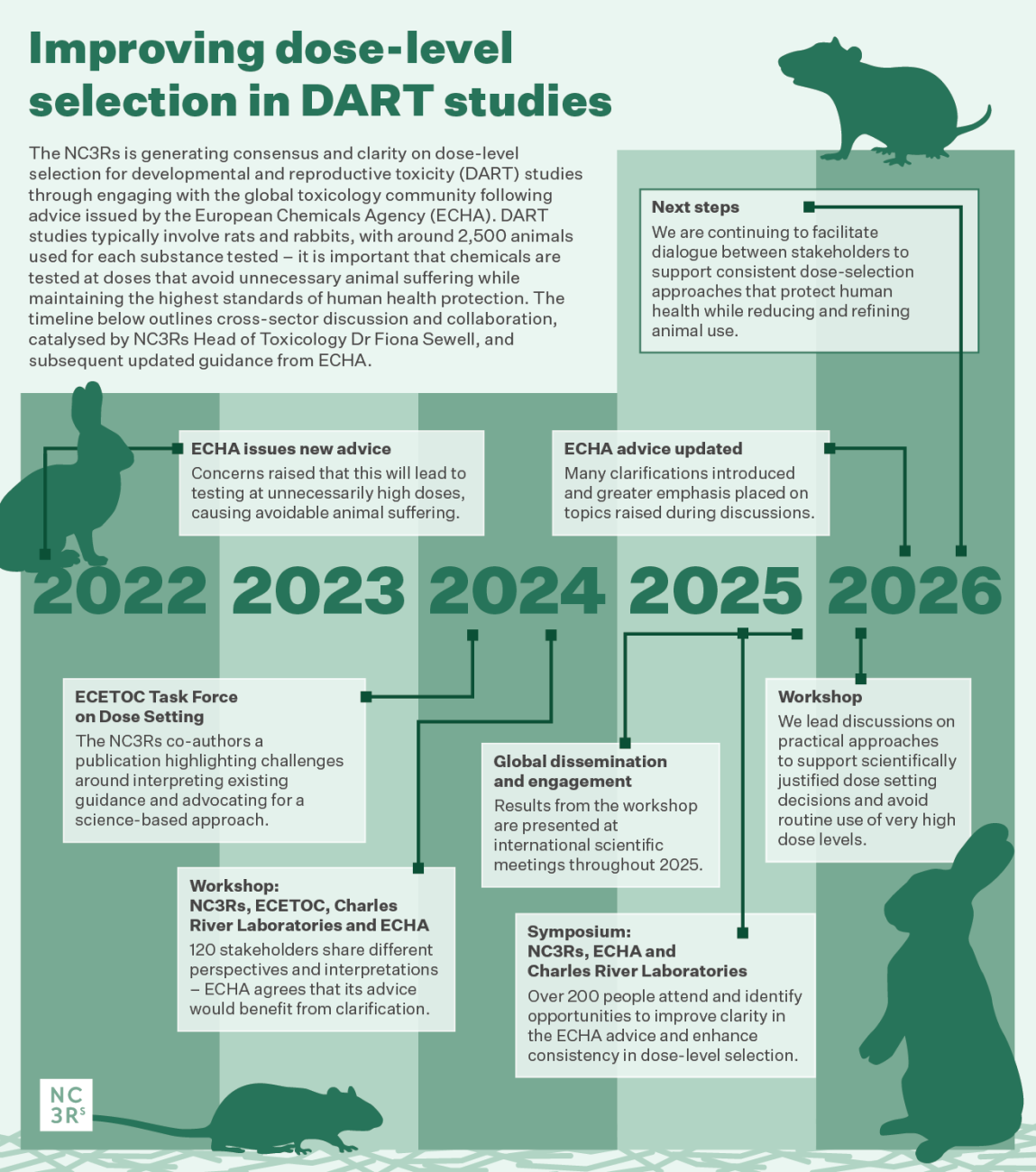 Timeline showing NC3Rs-led collaboration to improve dose-level selection in developmental and reproductive toxicity (DART) studies. Between 2022 and 2026, publications, workshops, symposia and stakeholder engagement helped clarify regulatory guidance, contributing to ECHA updating its advice and supporting more consistent, scientifically justified dose setting that reduces unnecessary animal suffering.