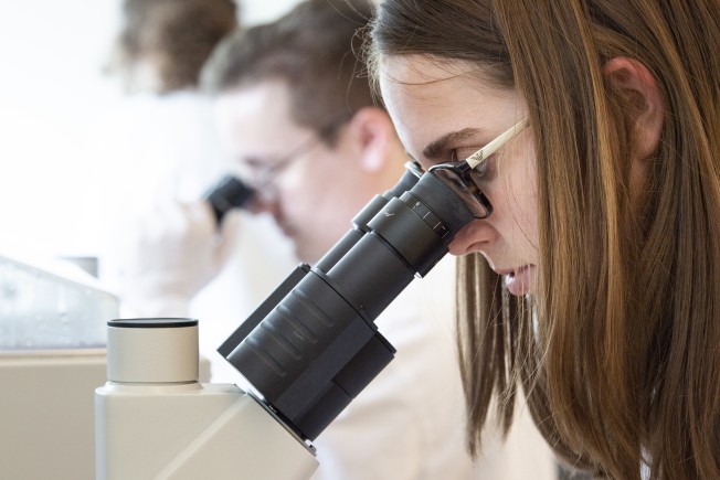 Two scientists look into microscopes