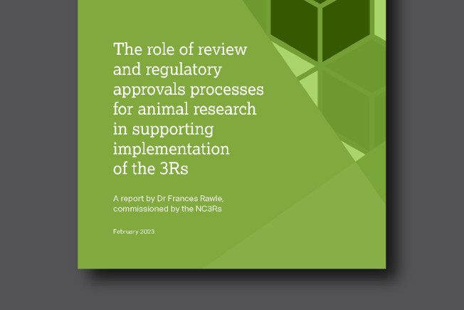 Cover of report