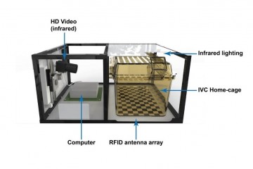 The Home Cage Analysis system