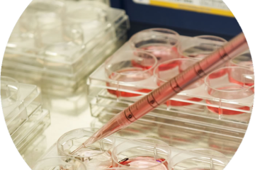 pipette and a flask, in plastic tubes