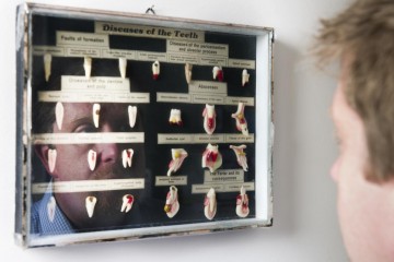 Professor Alastair Sloan looking at a portrait on the wall of the diseases of the teeth 