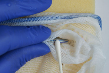 a zebrafish is held in a hand net and swabbed.
