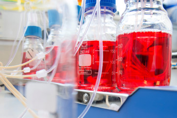 Four bottles of culture medium, in a laboratory setting. 