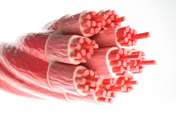 STRATIS Challenge image of red tubing 